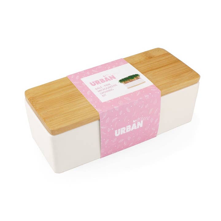 Urban Greens - Wholesale Plant seeds - Microgreens Mini Gardens - Kale Pink Sprouts0