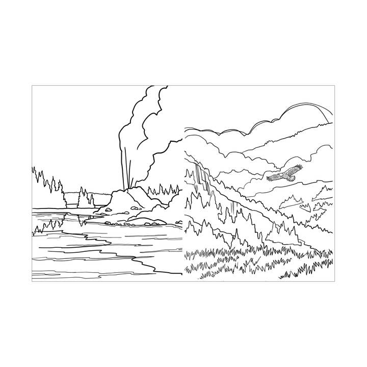 Corvidae drawings & designs – wholesale Colouring and activity book – adult – Yellowstone National Park Coloring Book3