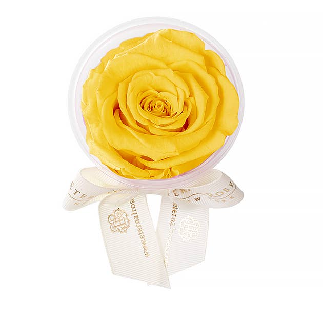 Eternal Roses® - Wholesale Party Favor - Eternal Rose Party Favors40