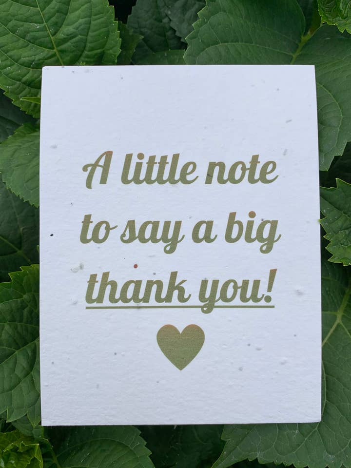 Plantable Card: A Little Note to Say a Big Thank You for wholesale by Seeds of Paper
