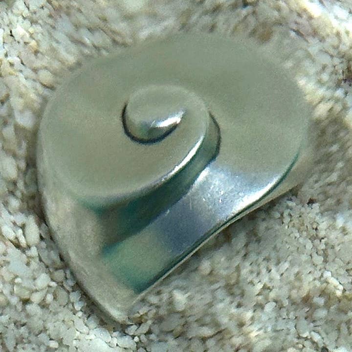 Coquille pour la vente par Suna Bonometti LLC