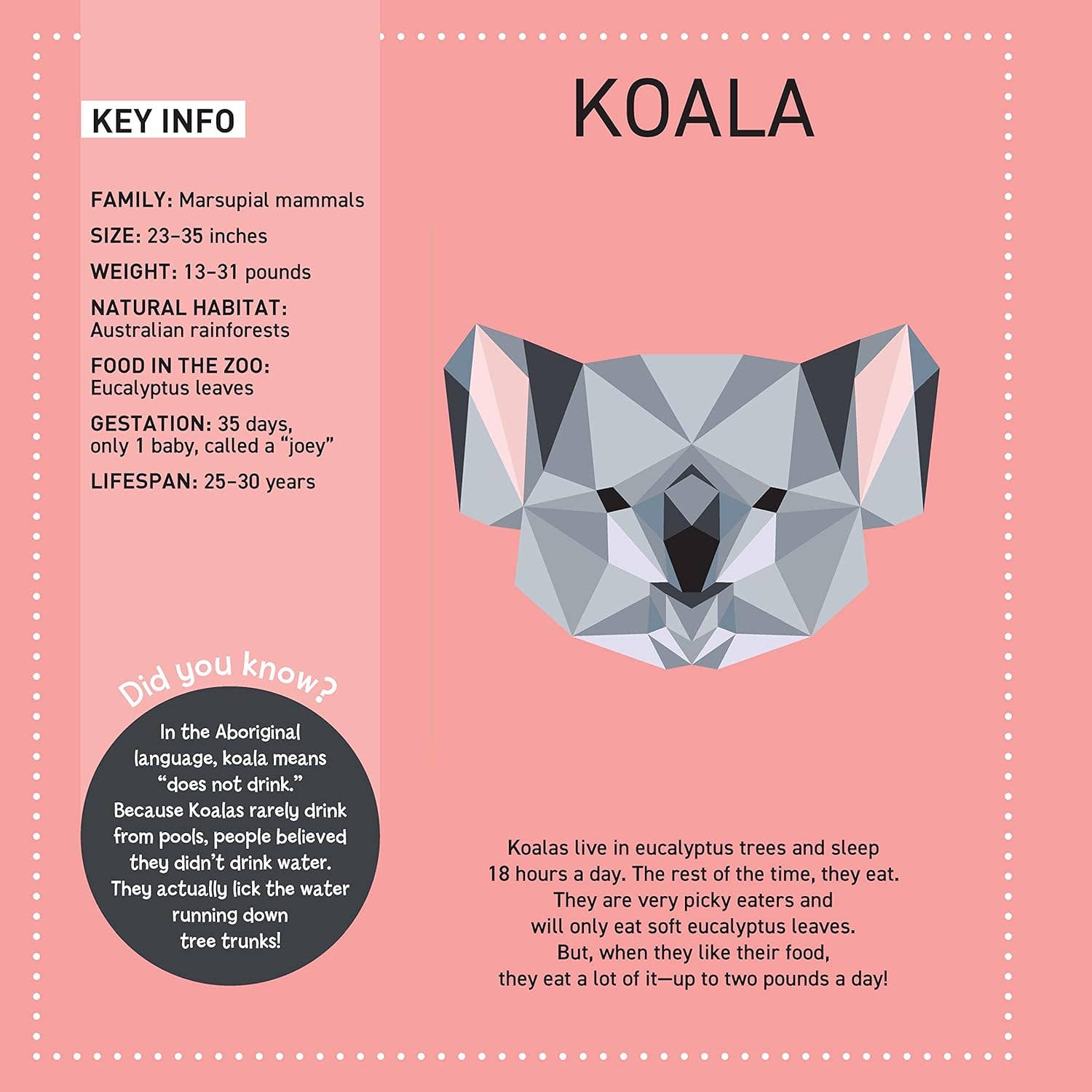 Fox Chapel Publishing - Vendita all'ingrosso Libro da colorare e attività - Bambini e neonati - My Sticker Paintings: Zoo - Libro di attività per bambini2