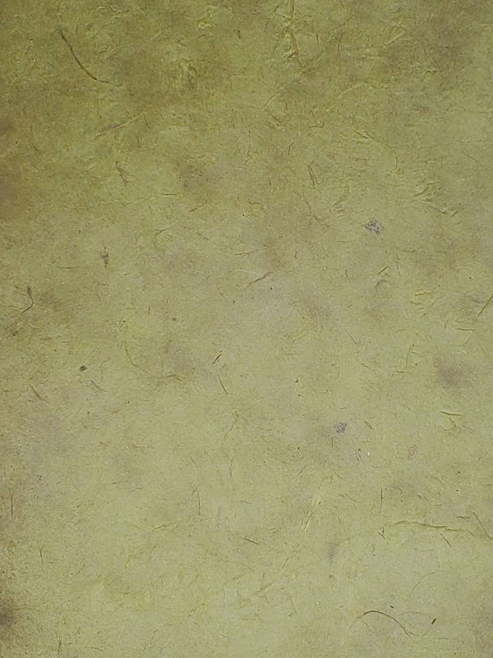 Lokta Dyed Walnut for wholesale by Aitoh Company