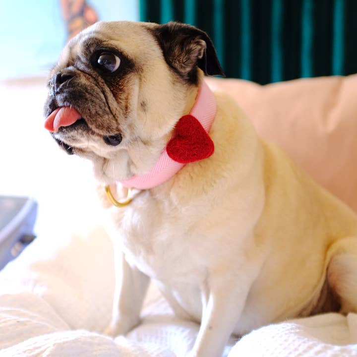 Mimi Green - Wholesale Pet Collar - Dog - We Heart Dog Collar Accessory (Single) -10 Colors