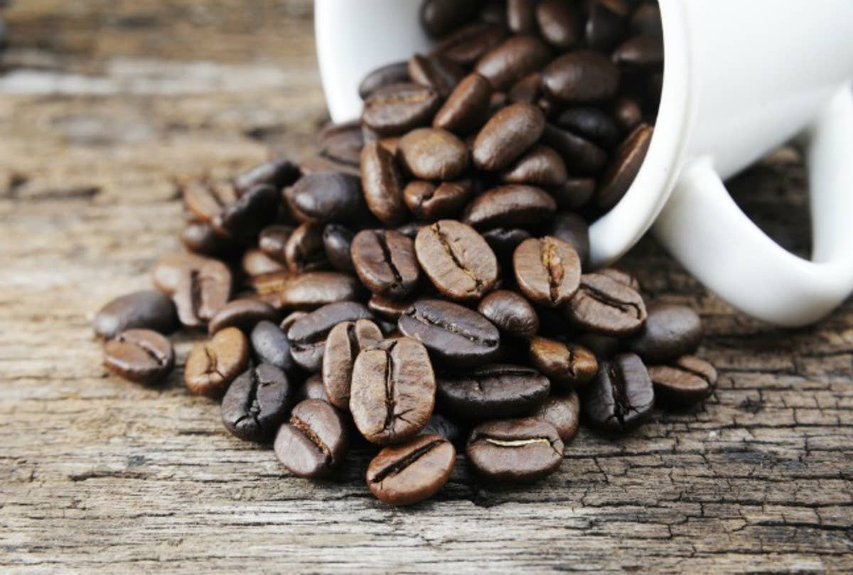 Staunton Coffee Company - Wholesale Coffee Beans - Sumatran