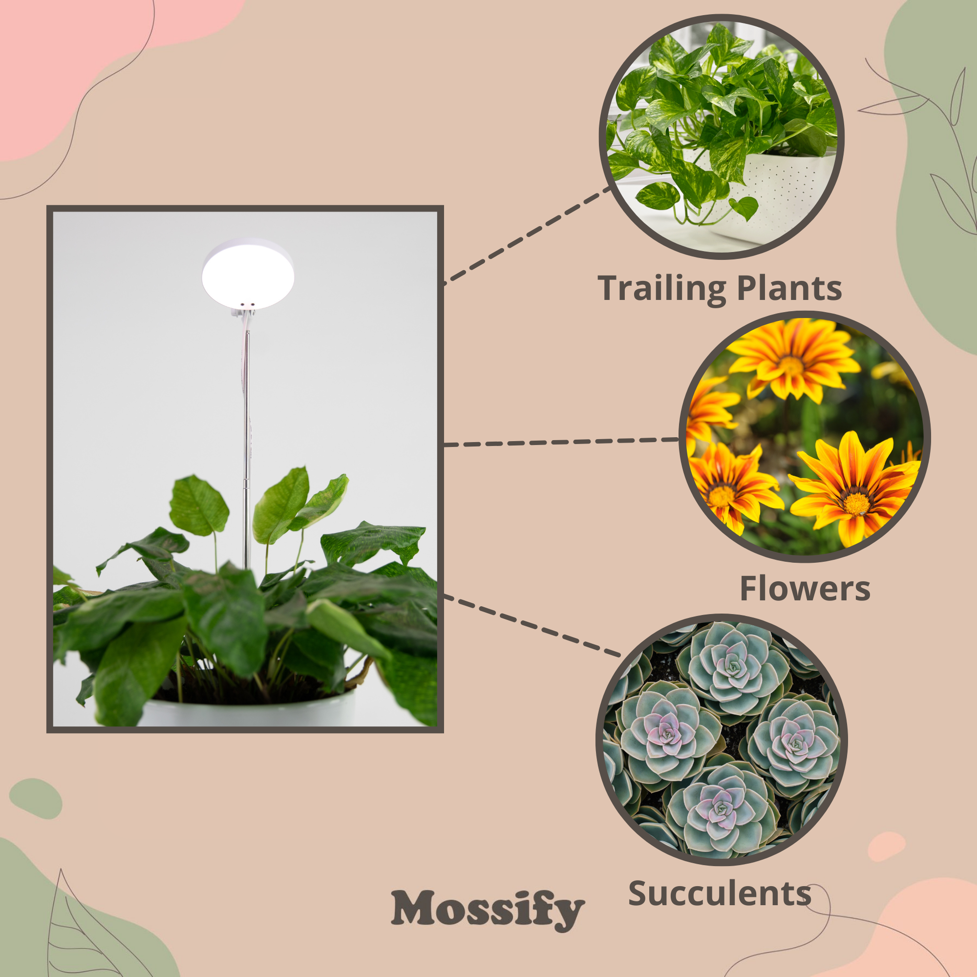 Mossify - Wholesale Garden Tool - 28" Adjustable LED Plant Light Grow Clip Lamp for Houseplant13
