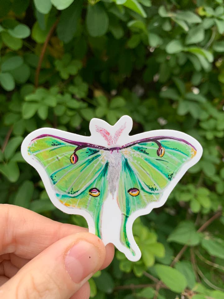 Adesivo per tarme Luna per la vendita all'ingrosso da parte di Willough Designs