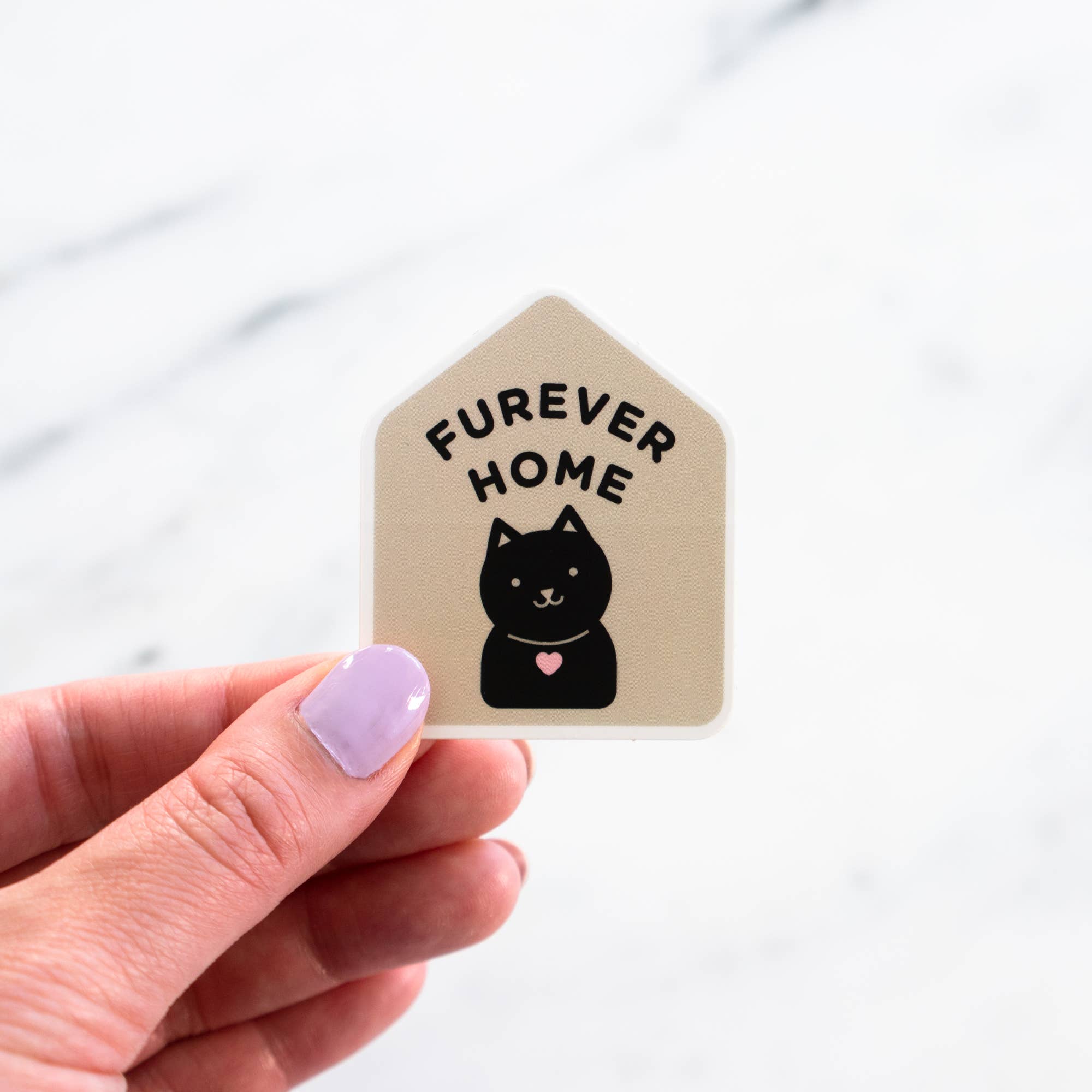 Everyday Olive - Vente Autocollant - Autocollants Black Cat4