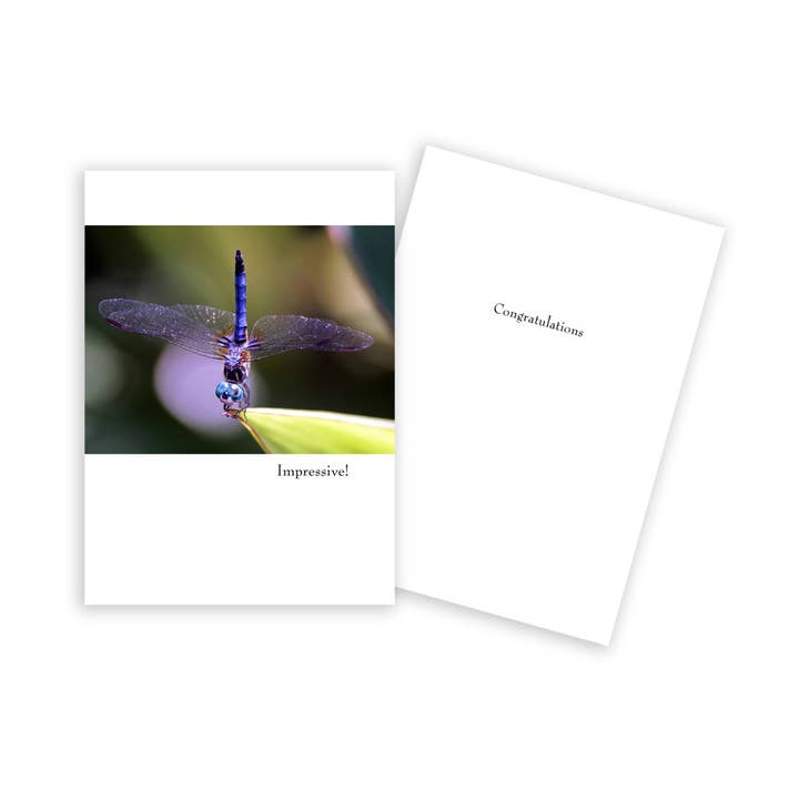 Carte de félicitations pour tête libellule pour la vente par Sun Day Greetings