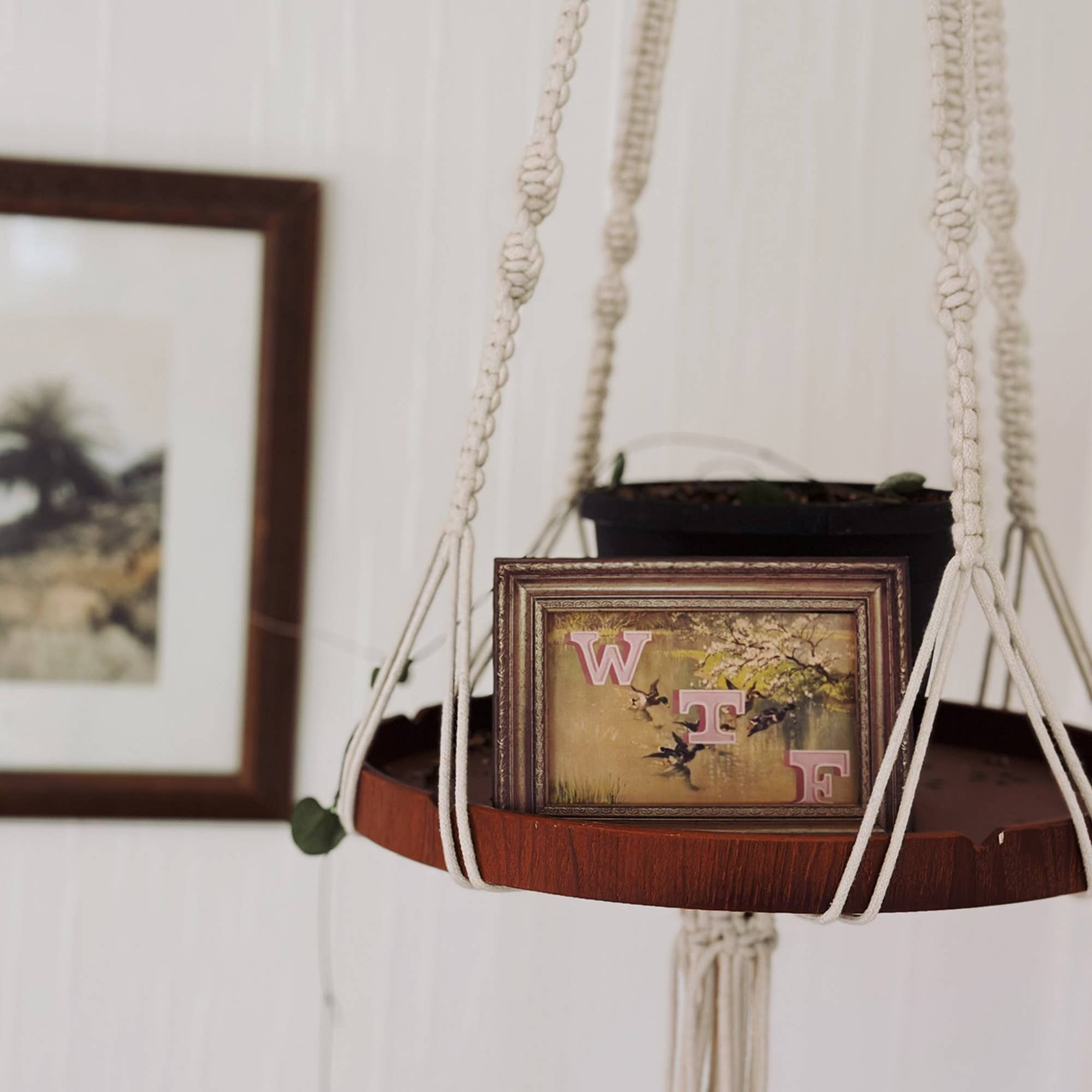 Fred & Friends - Wholesale Art Print - Daily Shitshow - Art by Wayne White4