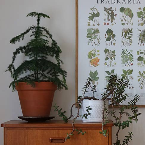 Hugodesign - Venta al por mayor Marcos de fotos - Marco de fotos de roble 50x70 cm