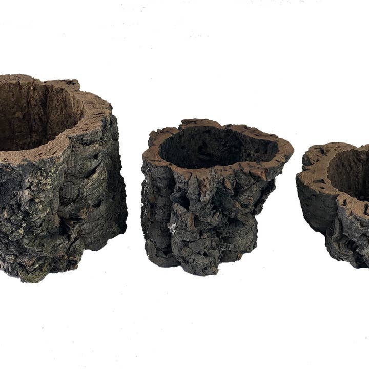Jelinek Cork Group - Venta al por mayor Macetas - Maceta primitiva de corteza de corcho natural