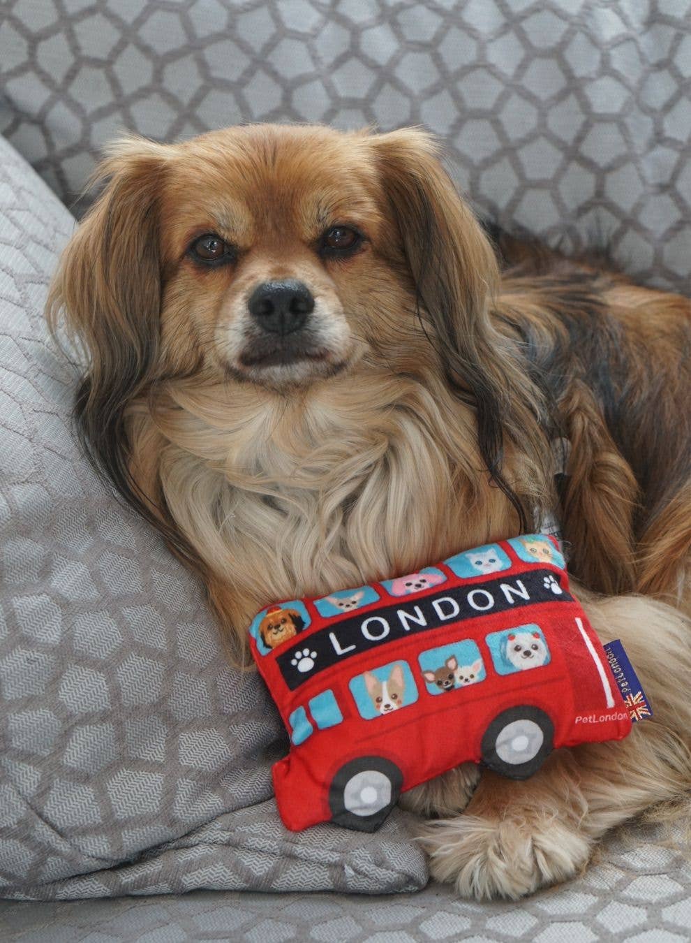 PetLondon – wholesale Pet plush toy – Dog – Mini London Bus Dog Toy5