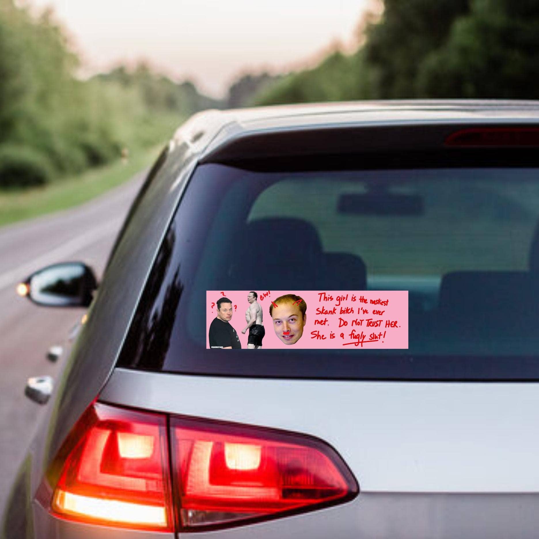 Frog Mustard Stickers - Wholesale Sticker - Elon Musk Burn Book Sticker (Mean Girls) Fugly Sl*t1