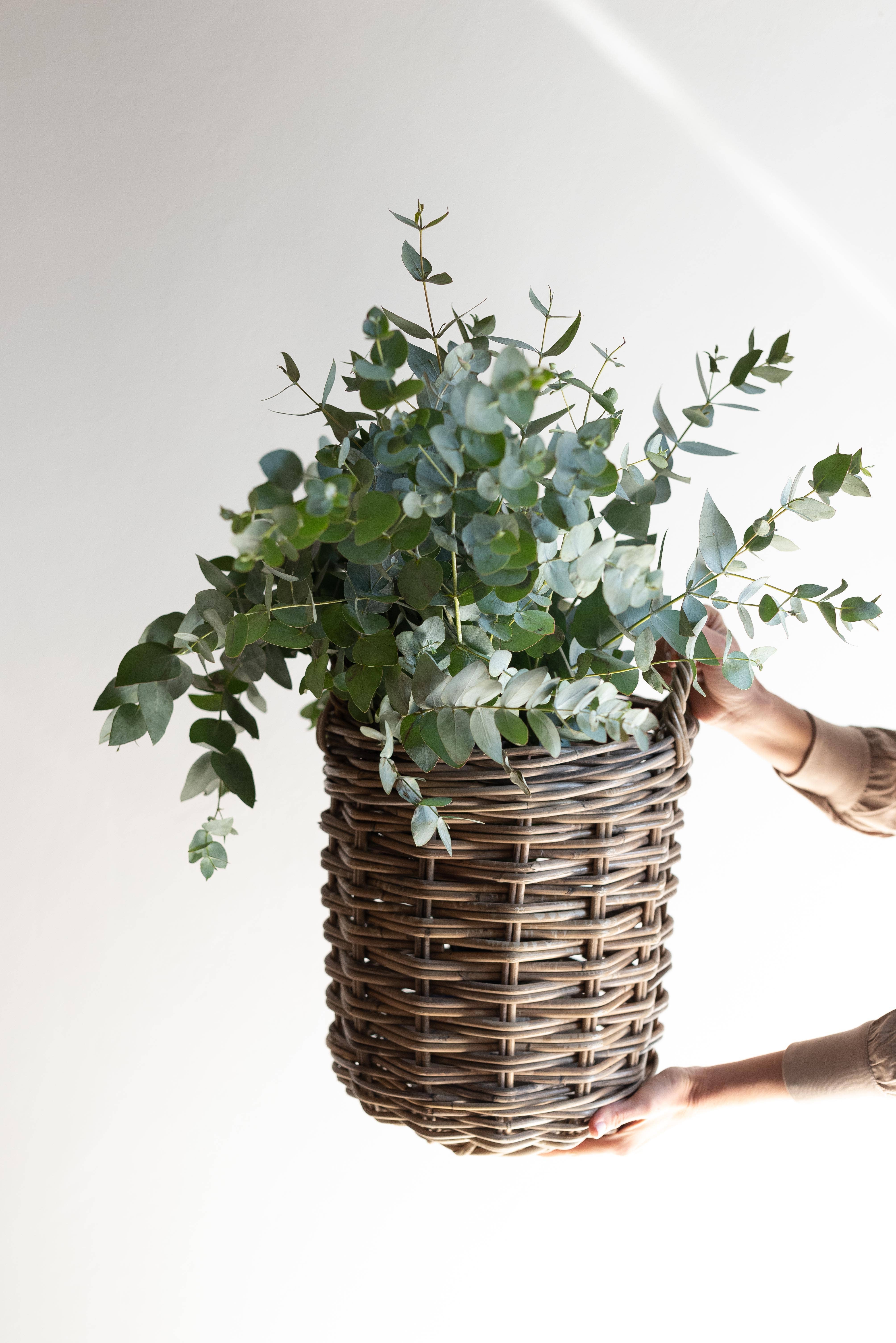 Basketly - Wholesale Basket - Rattan Round Basket4