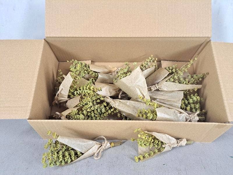 Dutch Flower Studio - Vente Fleur séchée/pressée - Lavande préservée - Mini bouquet de fleurs séchées6