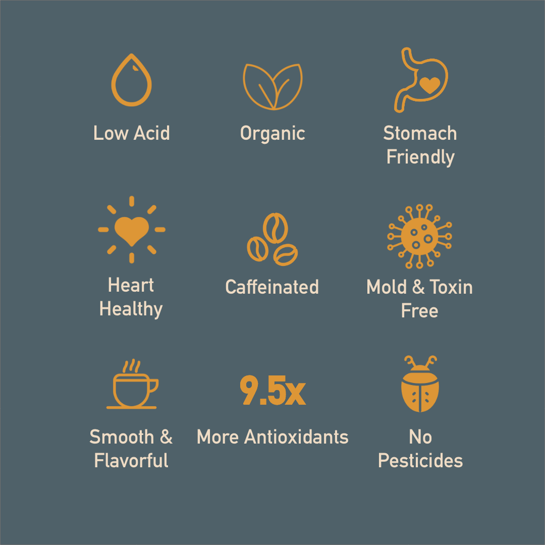 Healthy Bean Organic Coffee - Wholesale Ground Coffee - Healthy Bean Coffee - Superfood Ground, Organic, Low Acid7