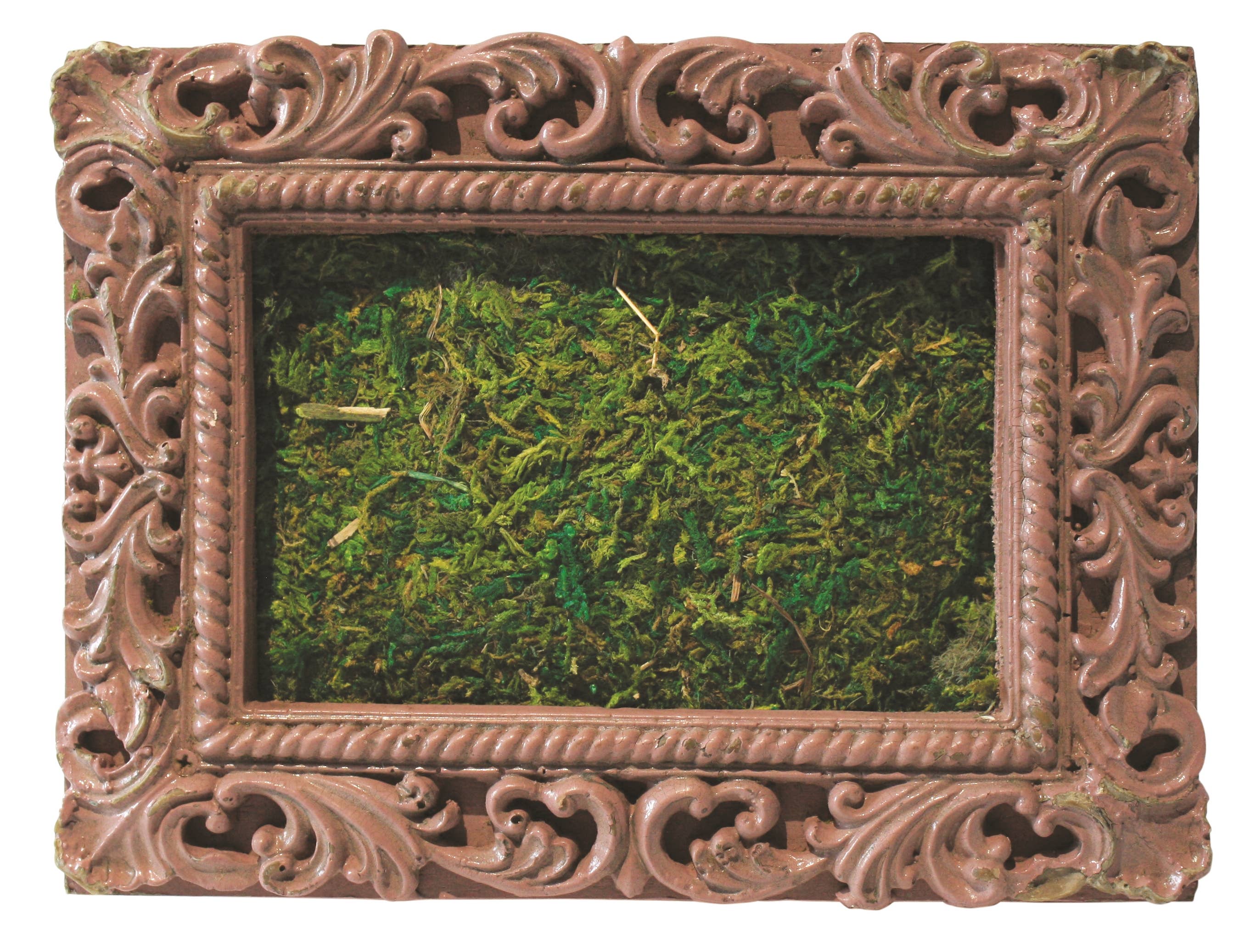 Braun - Wholesale Picture Frame - Antique Rose Rectangular Moss Frame
