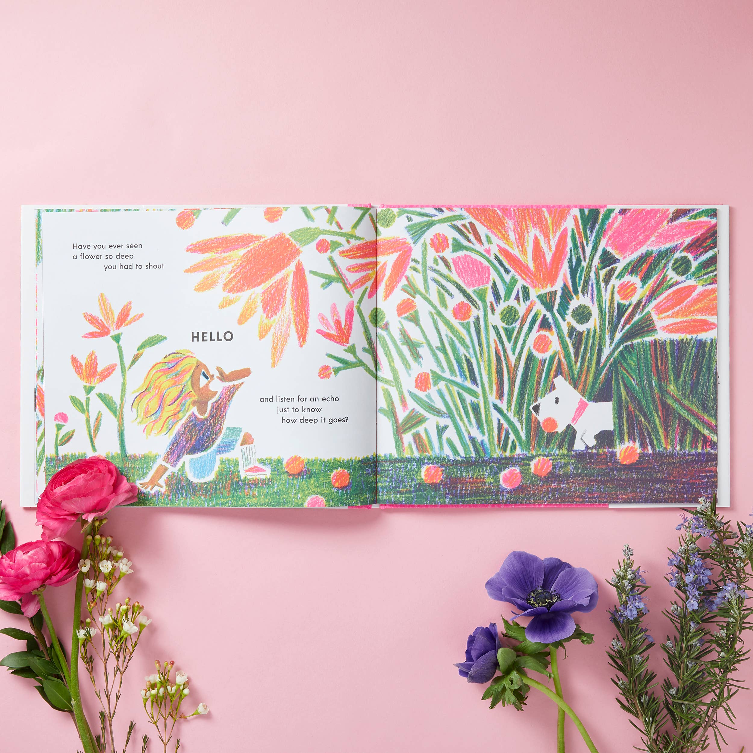 Chronicle Books - Wholesale Preschool Book (3-5) - Have You Ever Seen a Flower?8