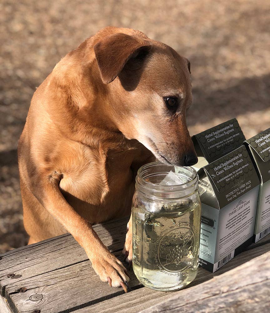 Boulder Tea Company - Wholesale Pet Supplement - Dog - Herbal Dog Tea - Organic Peaceful Pup™2