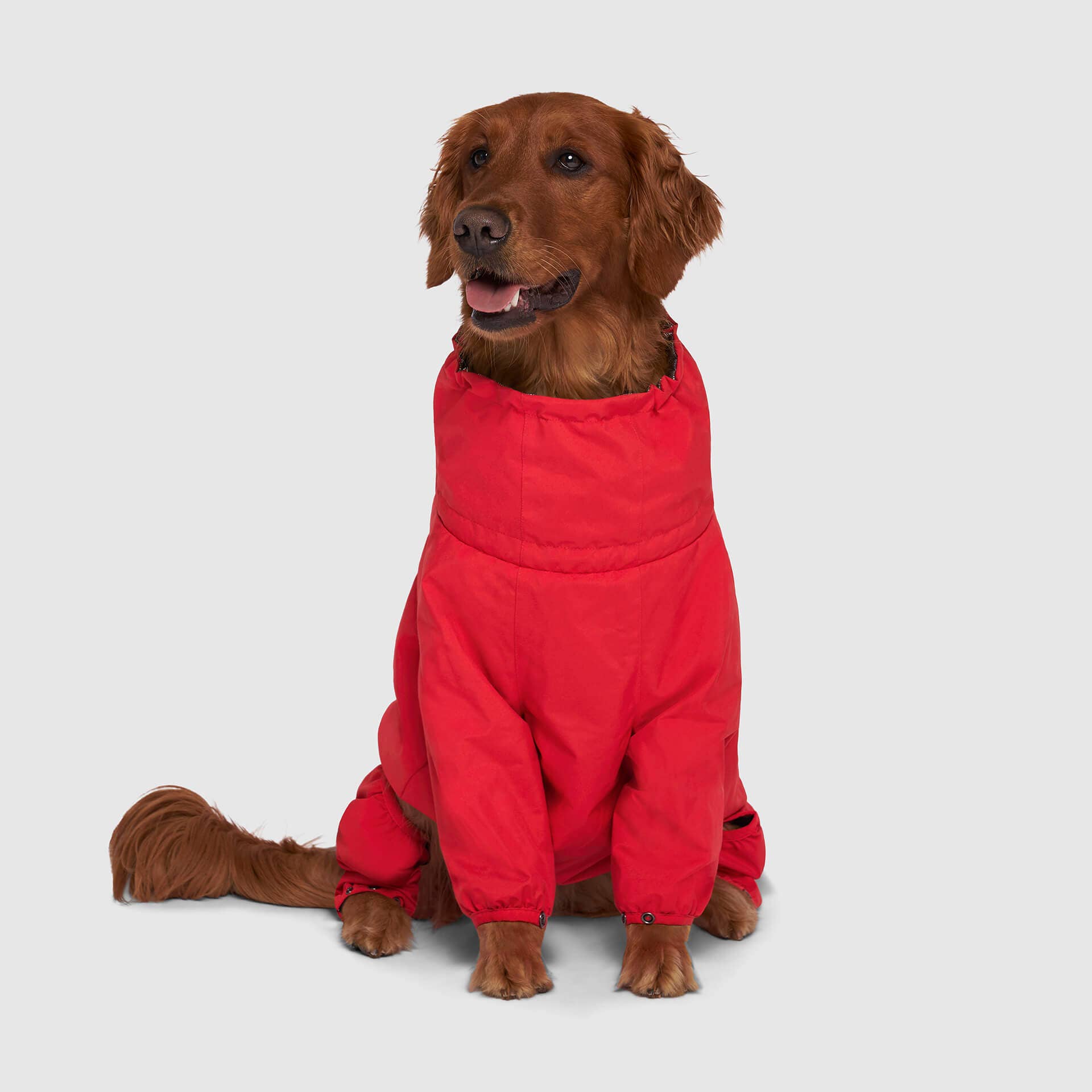 Canada Pooch - Wholesale Pet Bodysuit - Cat/Dog - The Snow Suit- Dog Suit4