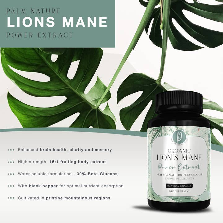 Palm Nature - Wholesale Oral Supplement/Vitamin - Organic Lions Mane Power Extract