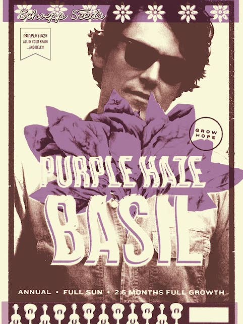 Basil, Purple Haze Opal Seed Packets for wholesale by Schoepp Seeds