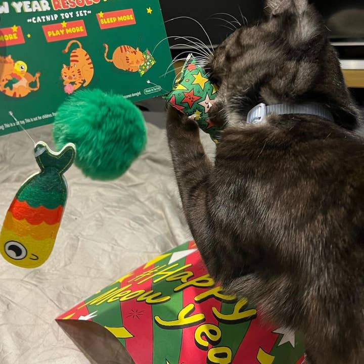 WufWuf - Wholesale Pet Toy Set - Cat - MyMeow Meow Year Resolutions, Catnip Toy Set