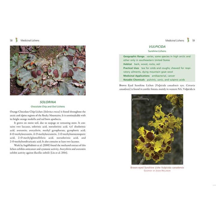 Simon & Schuster - Wholesale Medical Health - Medicinal Lichens by Robert Dale Rogers9