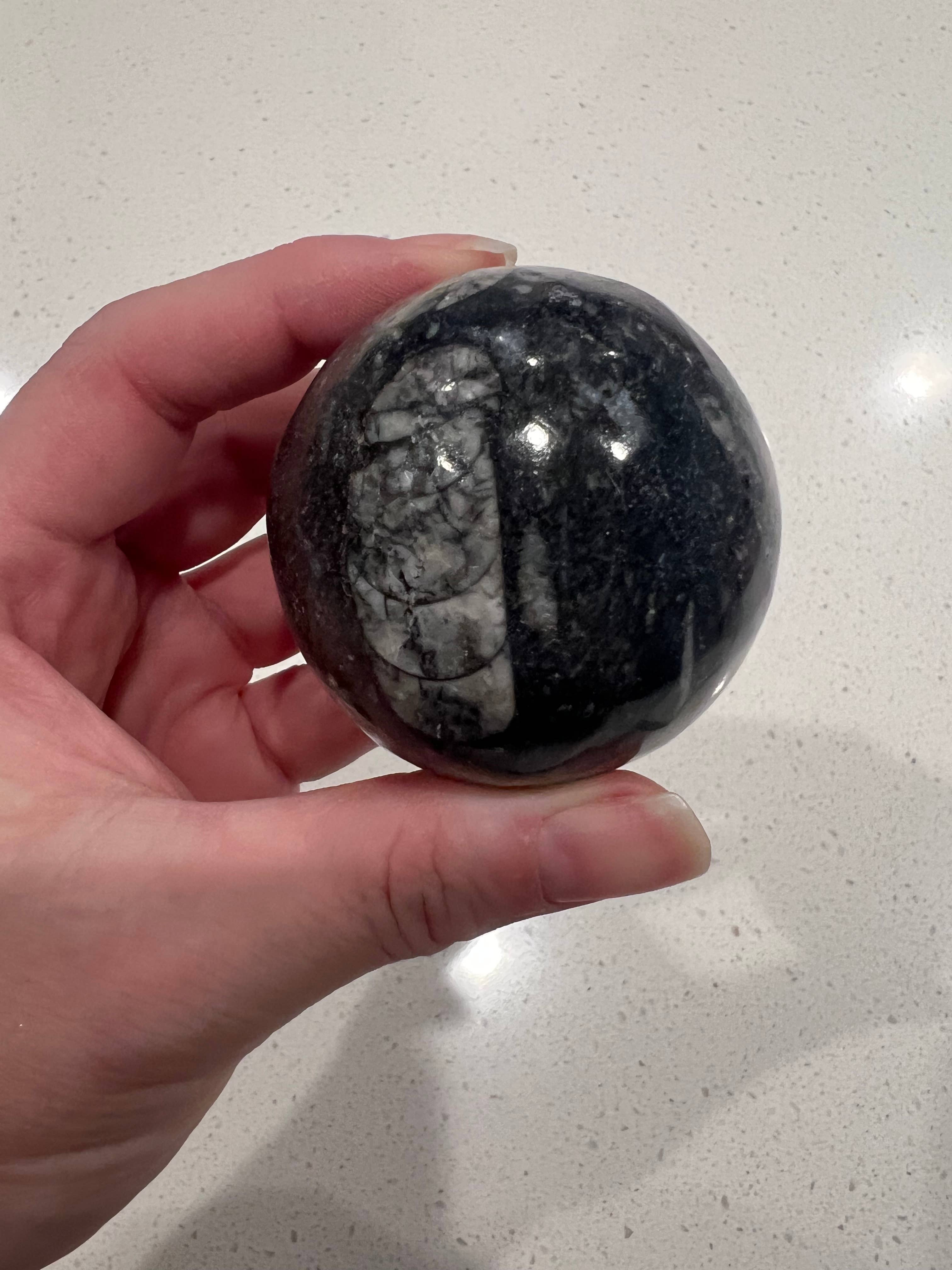 Only Crystals Remain - Vendita all'ingrosso Pietra/cristallo spirituale - Sfere di ortoceras Sfere di cristallo fossile0