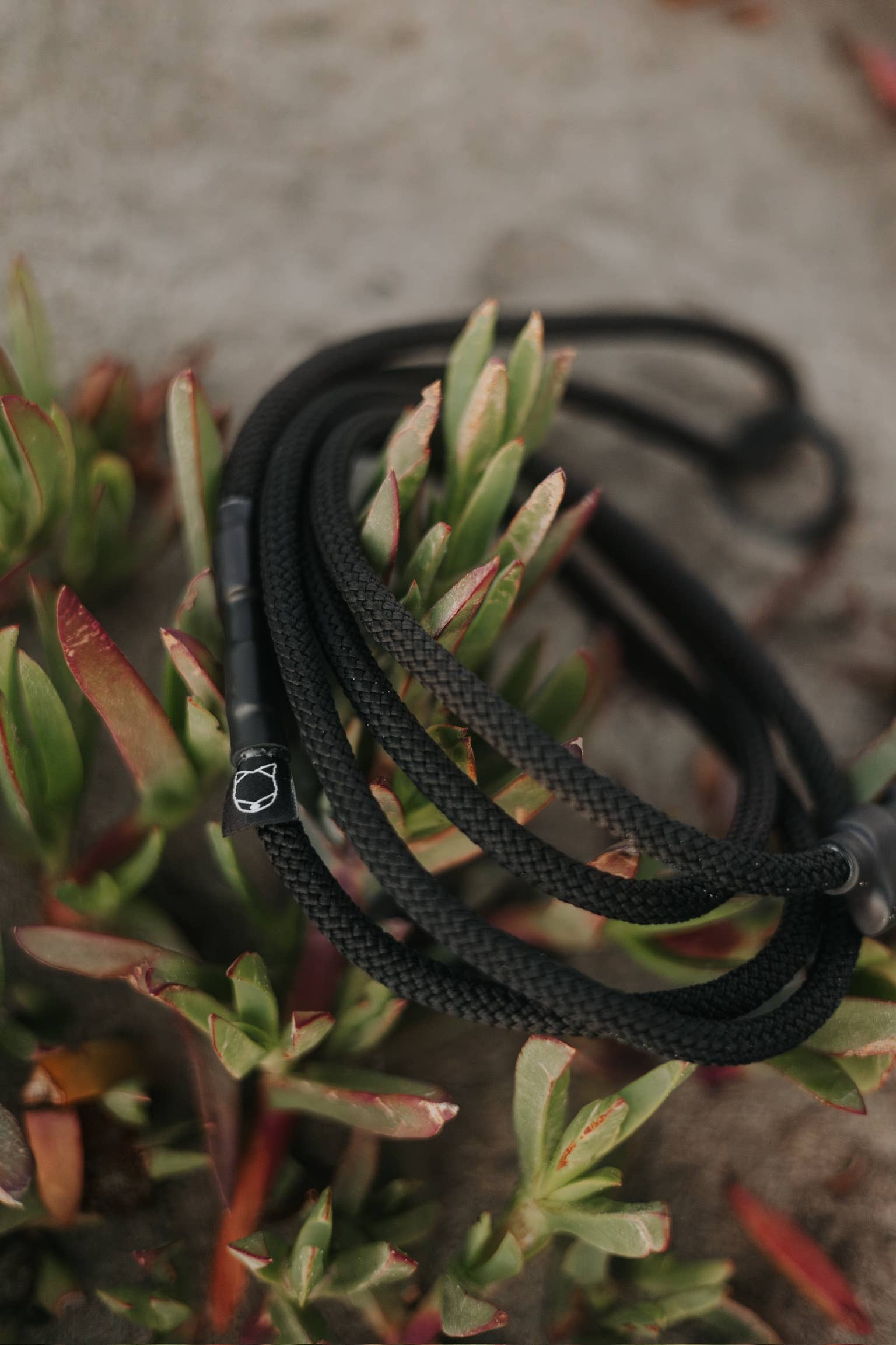 Litto Howler - Wholesale Pet Leash - Dog - Ekko Leash - 5 FT - Black 7mm Climbing Rope  3