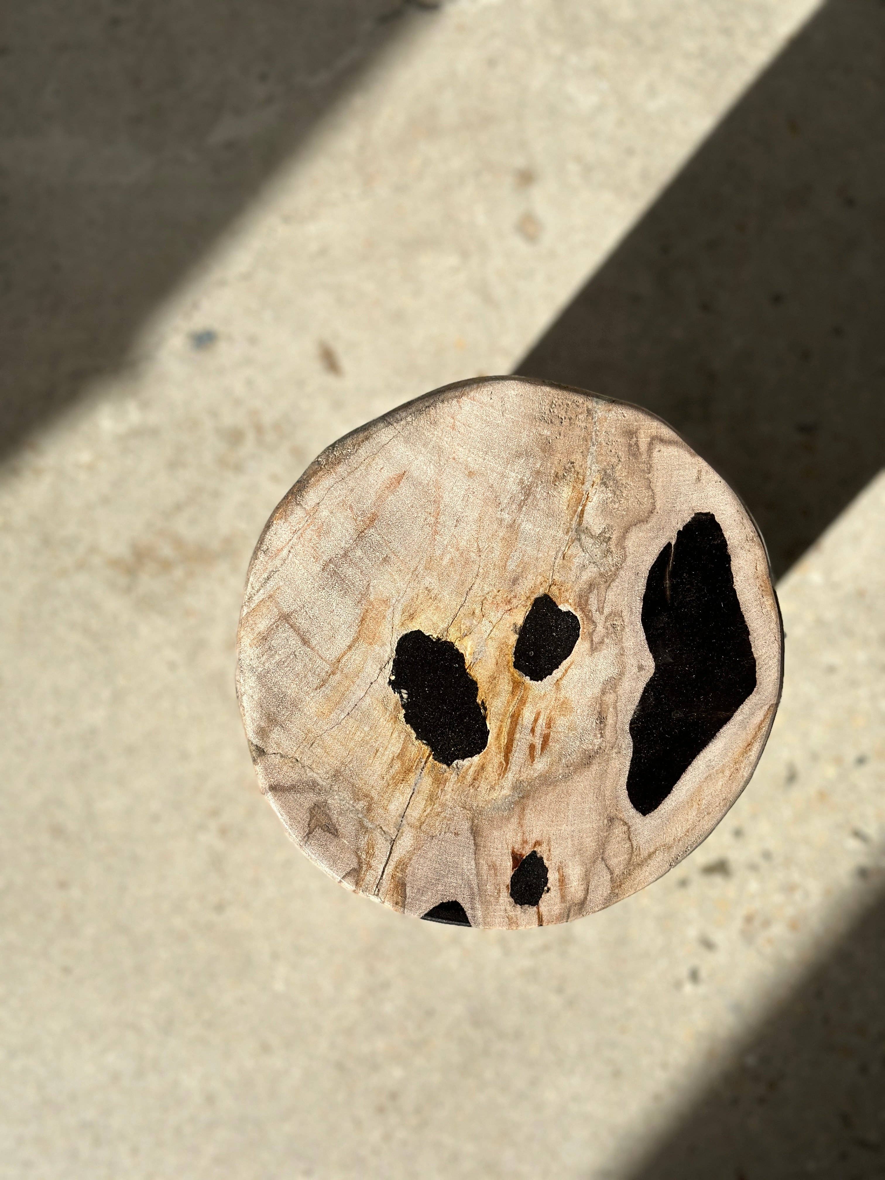 Office Objets - Wholesale Side Table - White petrified wood side table with black spots H:27.5 D:1873