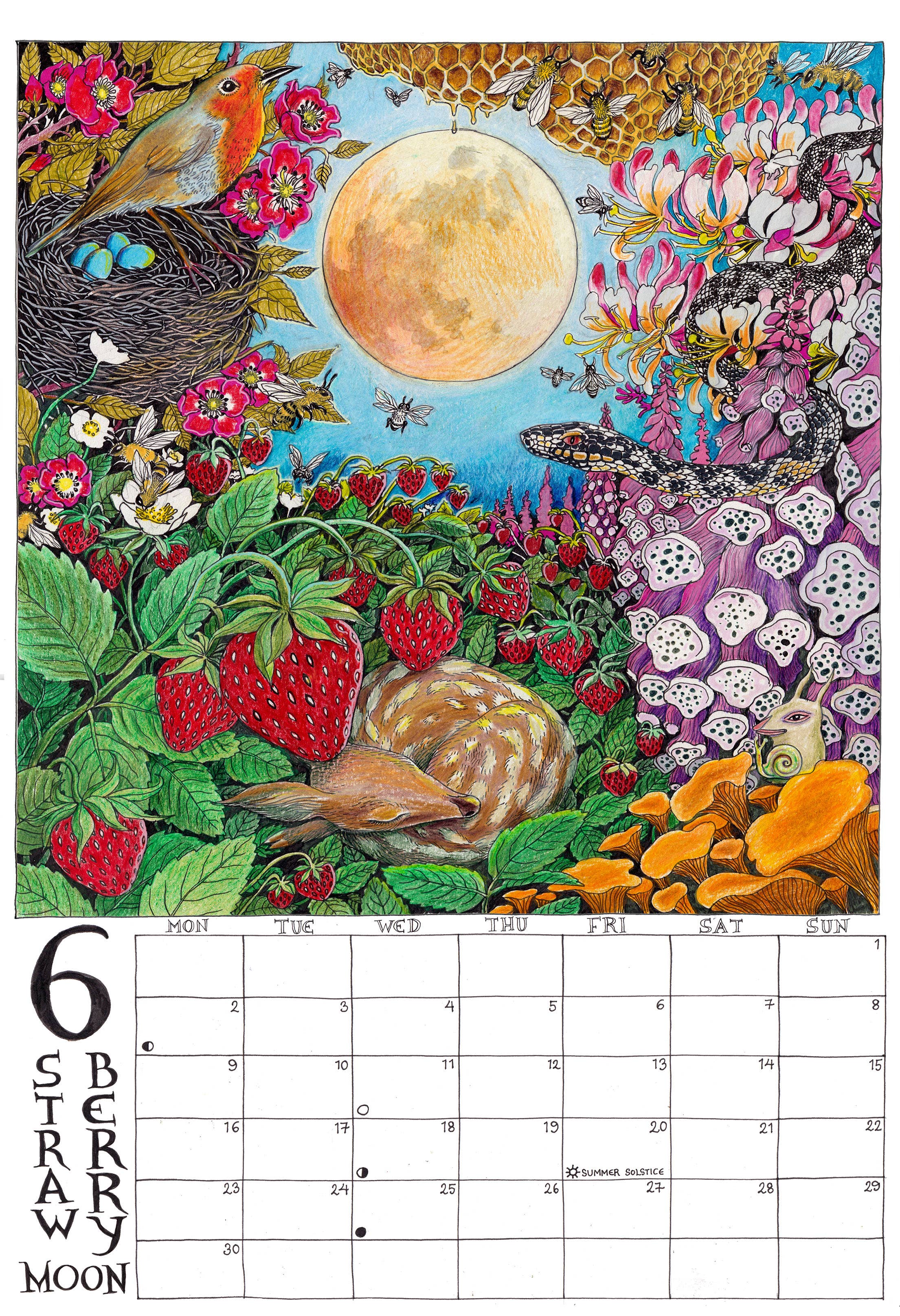 Fox & Comet - Wholesale Calendar - Illustrated Wall Calendar - The Calendar of the Full Moon6
