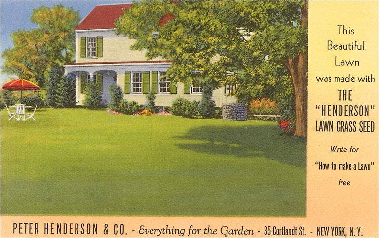 Found Image Press - Vendita all'ingrosso Cartoline - Cartolina GD-09 Pubblicità di Semi per Prato0