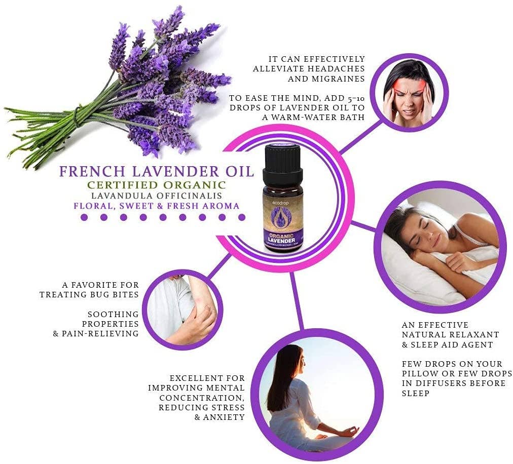 Eco Drop – wholesale Essential oil – Organic French Lavender Essential Oil 13