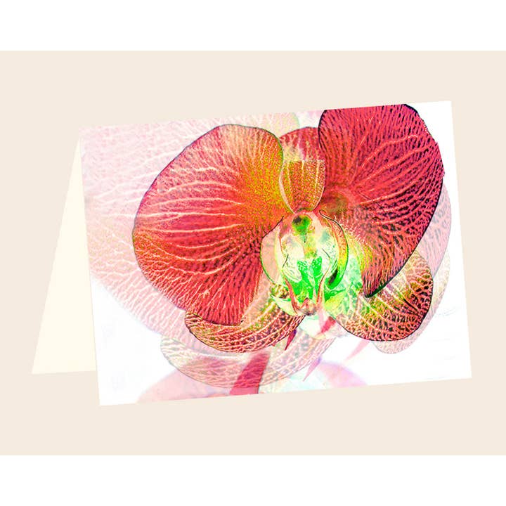 Orkidé ENCL nr.14 för wholesale av Line Five Studio