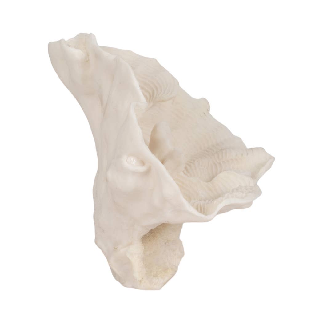 Sagebrook Home - Wholesale Decorative Figurine - Decorative Figurine - Ivory Resin Coastal Coral Fan, 12 in.5