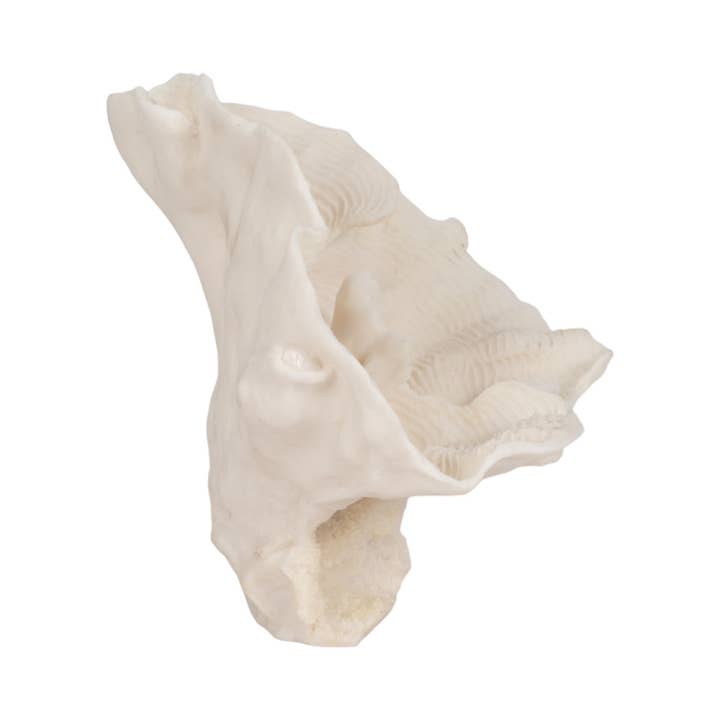 Sagebrook Home - Wholesale Decorative Figurine - Decorative Figurine - Ivory Resin Coastal Coral Fan, 12 in.5