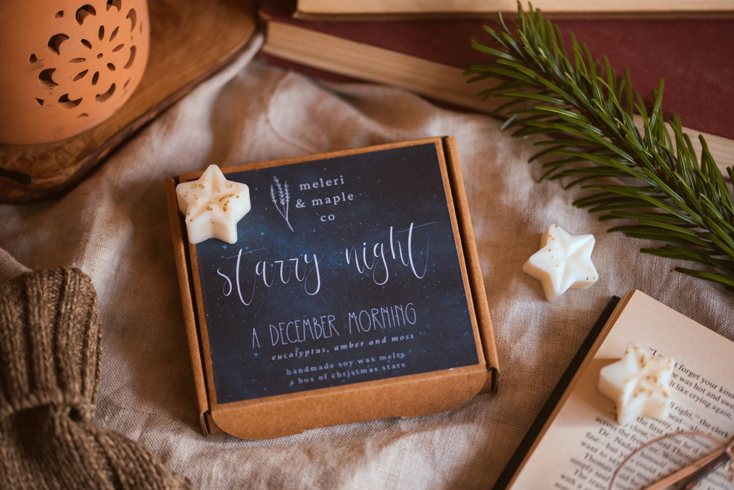 Meleri and Maple Co – wholesale Wax melt – Starry Night - A Box of Christmas Star Wax Melts / Winter2