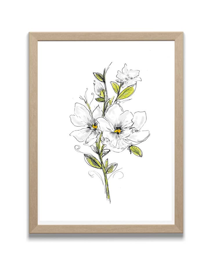 Magnolia Watercolor - Original Art Print for wholesale by Locksley Workshop