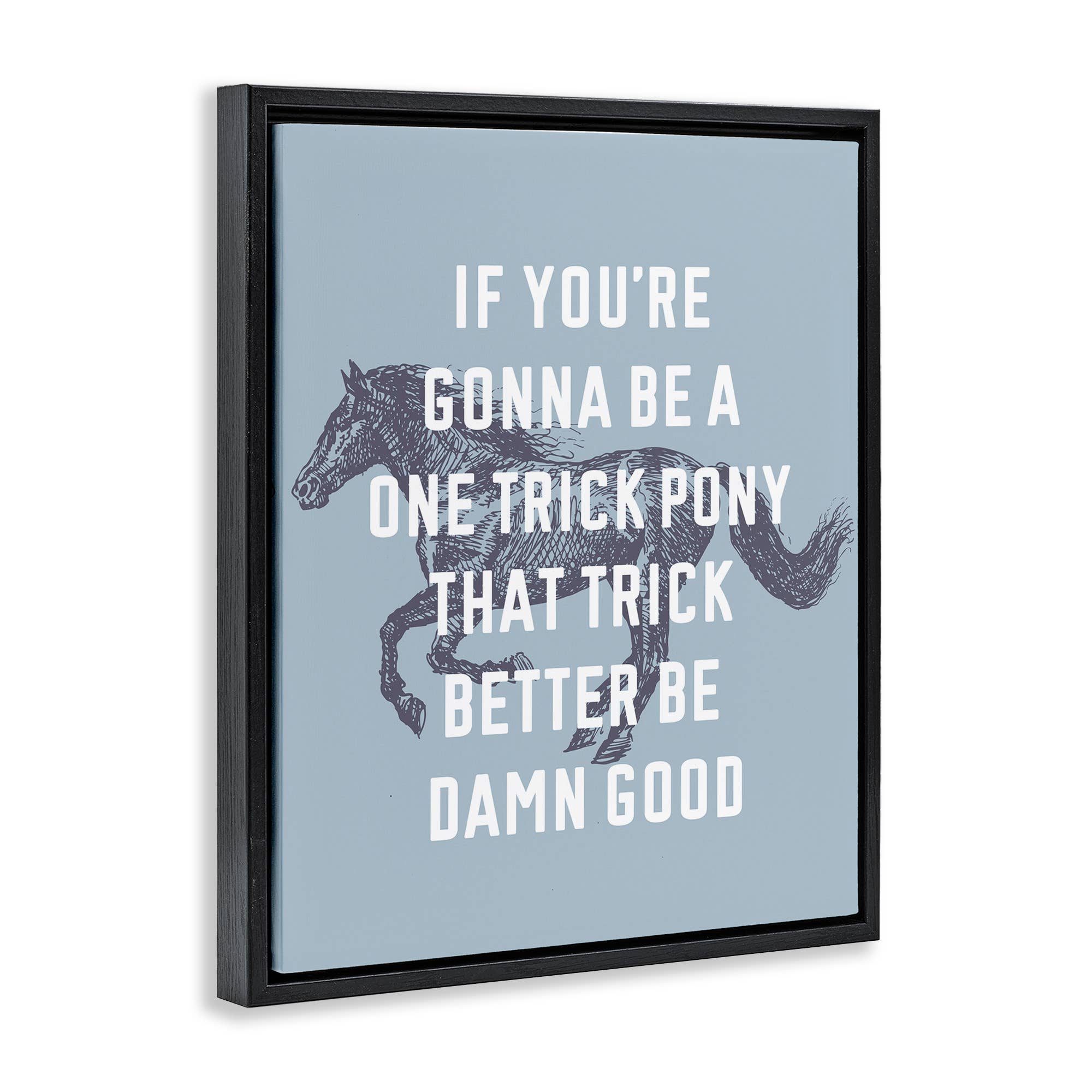 Stupell Industries - Wholesale Wall Decor - Kids & Baby - One Trick Pony Phrase Floater Framed Art29