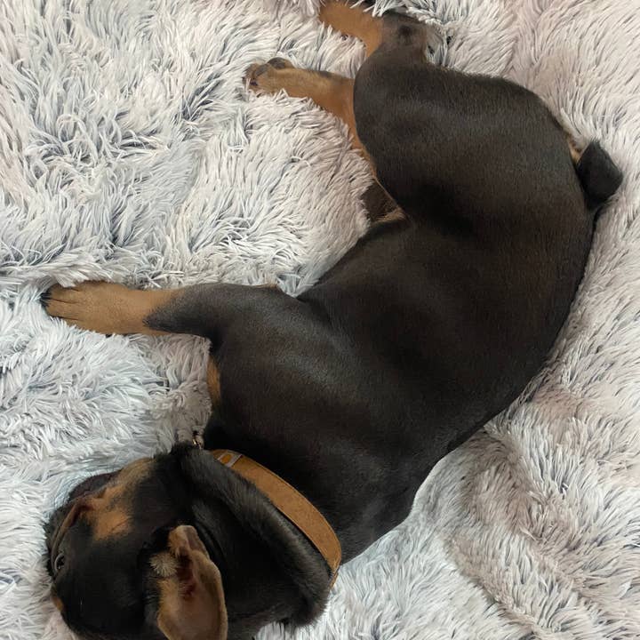 Tall Tails - Wholesale Pet Blanket - Dog - Tall Tails Grey Waterproof Dog Blanket - 40" X 60"4