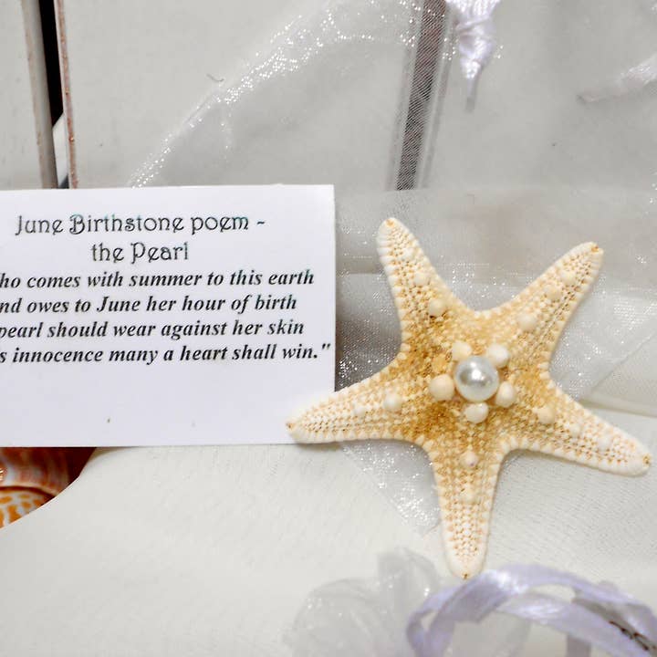 Birthstone / Charka Stone Starfish Novelty Gift for wholesale by Shell We Sea Designs