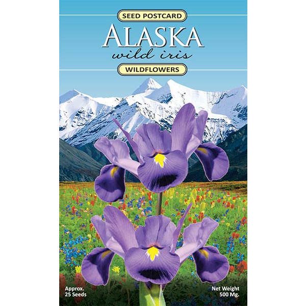 Created By Nature - Wholesale Plant Seeds - Alaska Wild Iris Wildflower Seed Packet