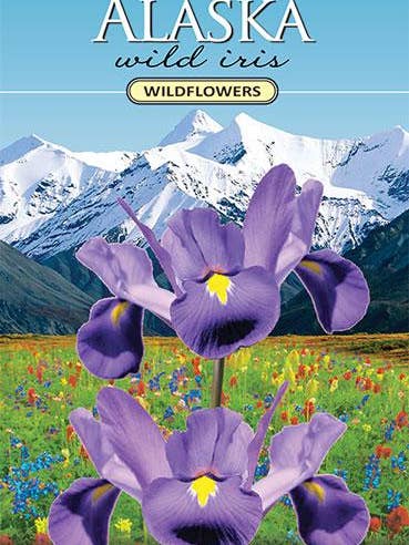 Alaska Wild Iris Wildflower Seed Packet for wholesale by Created By Nature
