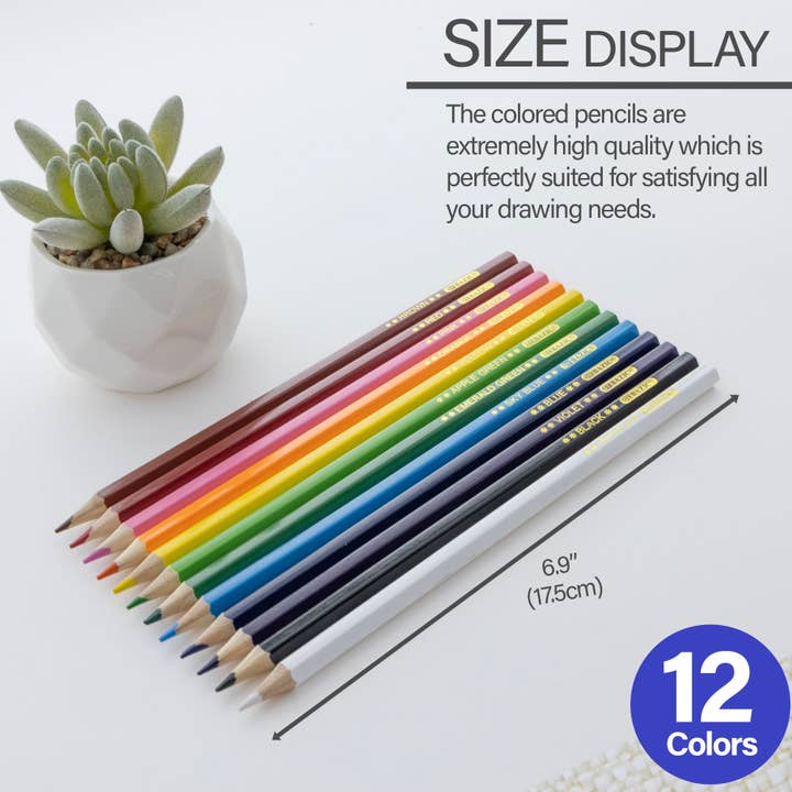 BAZIC Products - Wholesale Colored Pencil - Wood 12 Colored Pencils1