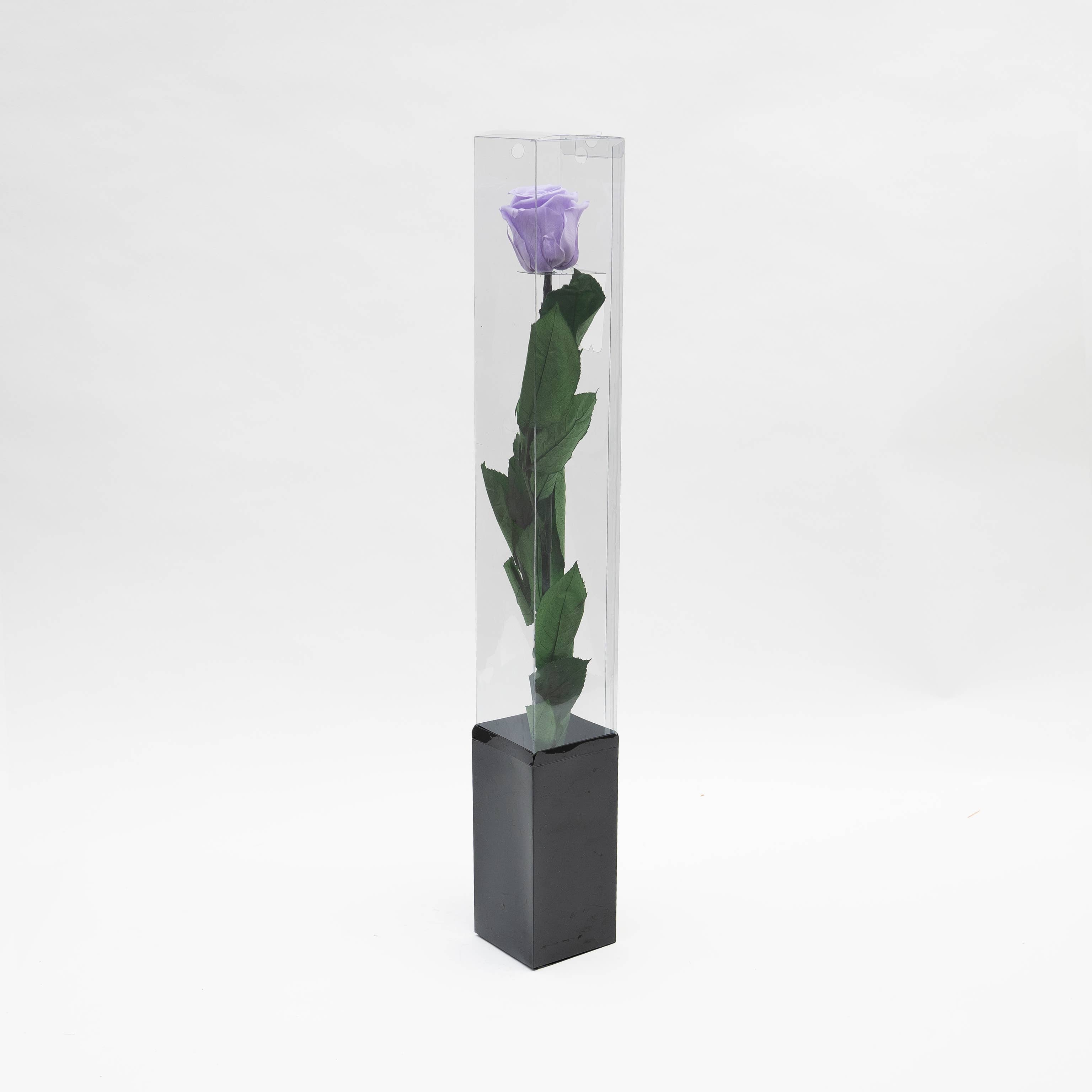 La Rose Preserved Beauty – wholesale Artificial flowers – Long Stem Rose | Eternal Beauty1