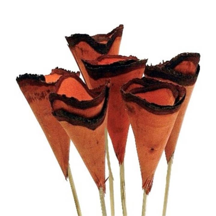 Botanico Ltd. – wholesale Artificial flowers – Wood Cones1
