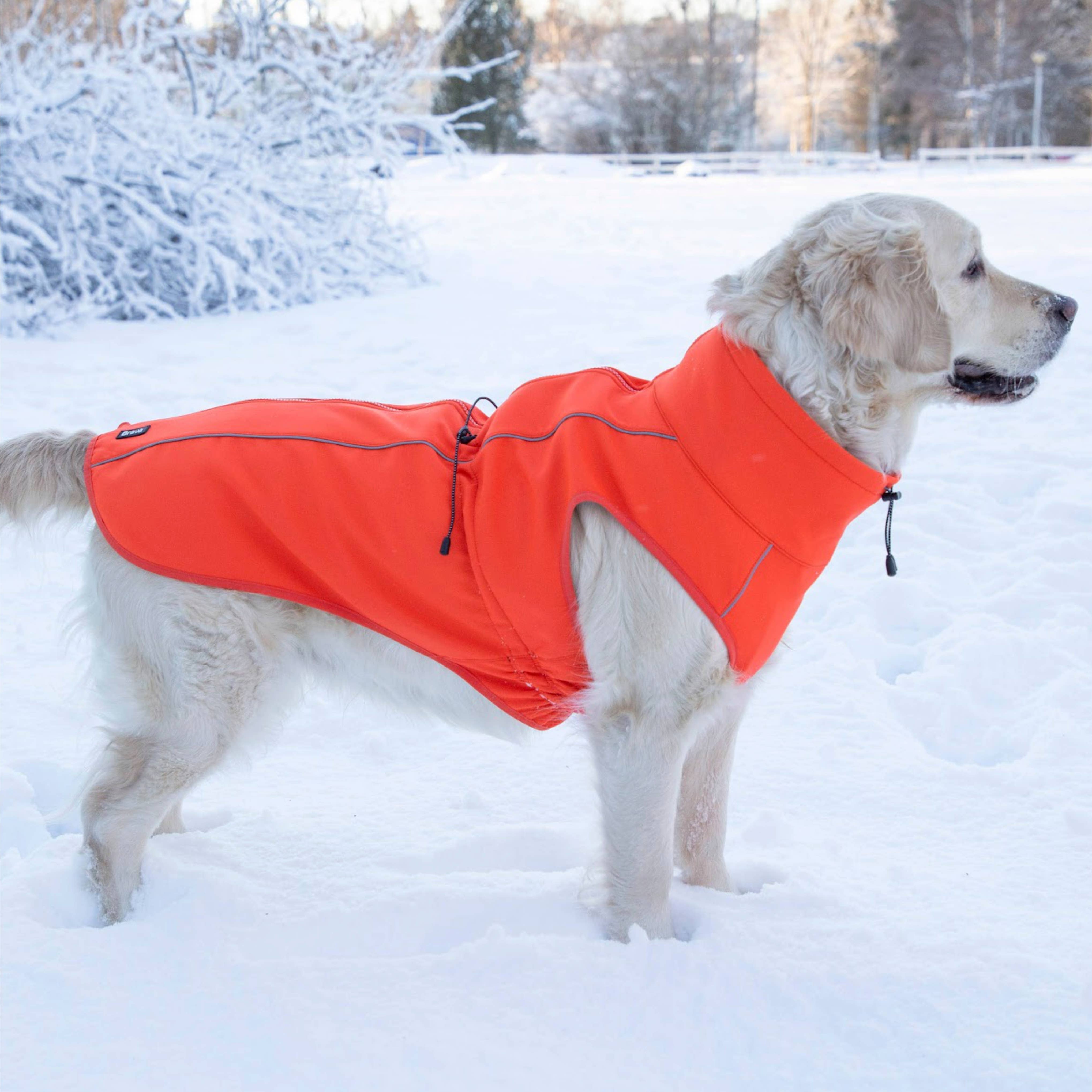 FINNERO - Vente Veste – chien - Veste réfléchissante coupe-vent FINNERO SPORT pour chien, 3 couleurs10