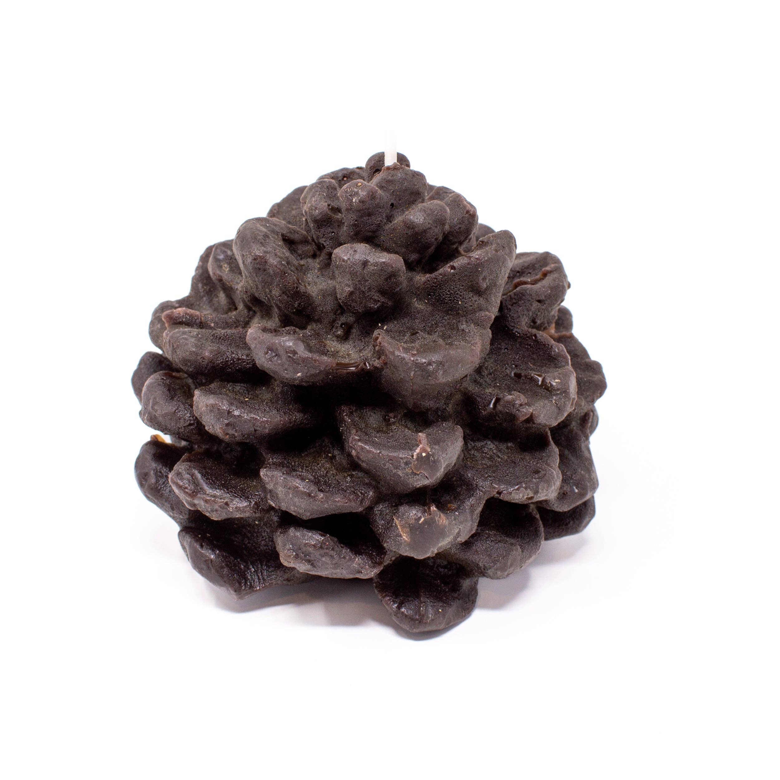 Zenteia - Vendita all'ingrosso Candele regalo - CANDELA DECORATIVA ANANAS | CERA DI ORIGINE CIRCOLARE | 11X9CM0